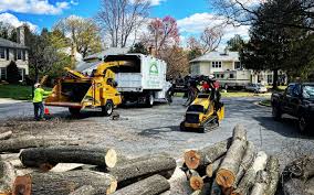 Lawn Grading and Leveling in Siesta Acres, TX